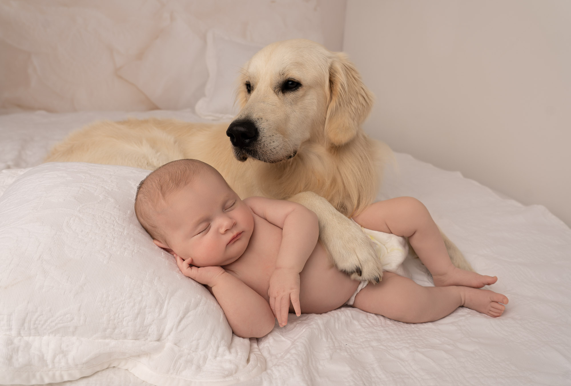Dog Pet Photoshoot Photography Greenwich Lewisham London Cate Castleton 2